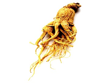 Ginseng proprietà